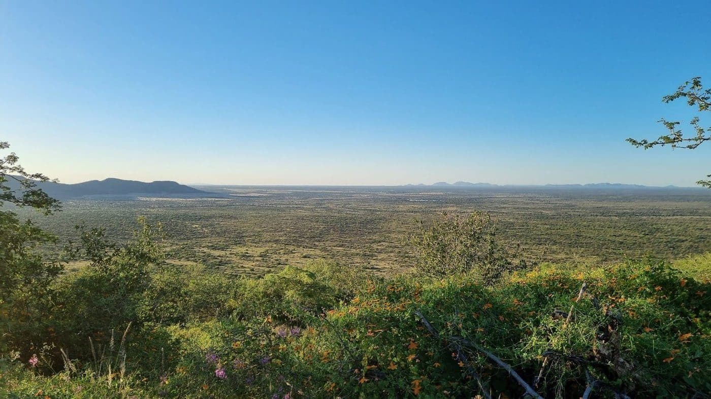 A wide view from a hill across the bushland to the mountains on the horizon.